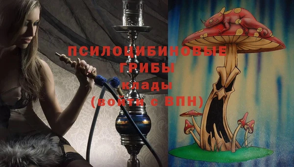 MDMA Елизово