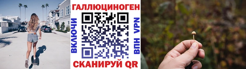Купить  Плёс  Псилоцибиновые грибы Psilocybe 