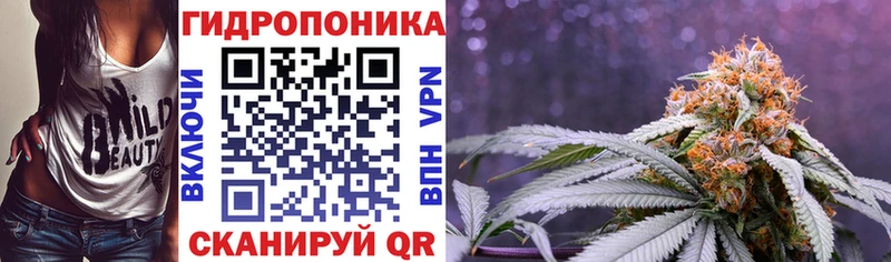 Купить закладки  Плёс  Шишки марихуана VHQ 